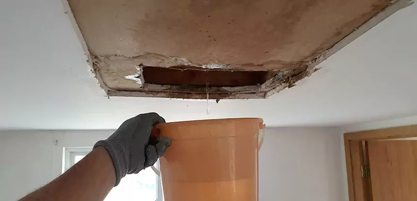 Ceiling Mold Repair Tate 