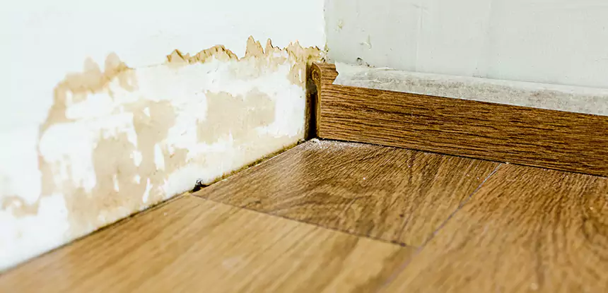 Professional Fix Water Damaged Wood Services in Tate, GA
